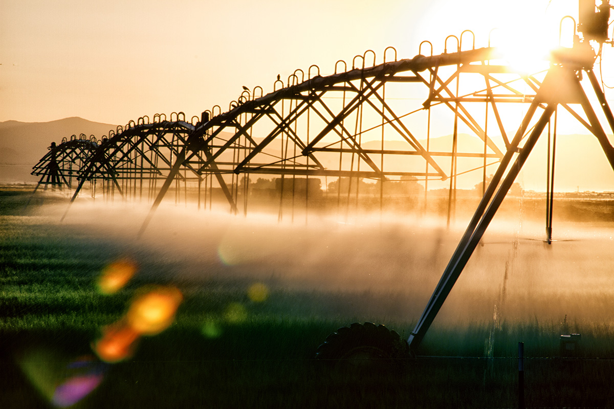 Agricultural water sprayers spraying water in a field during sunrise